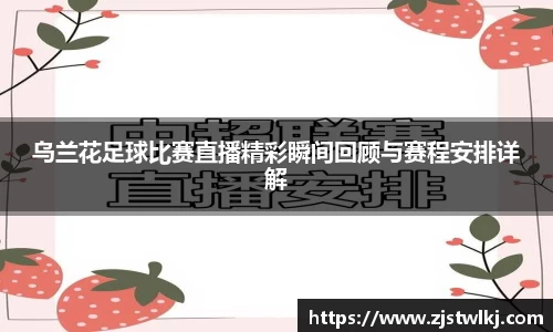 乌兰花足球比赛直播精彩瞬间回顾与赛程安排详解