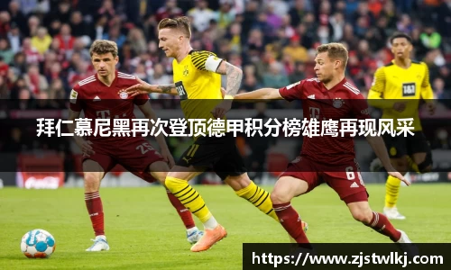 乐鱼电竞官网