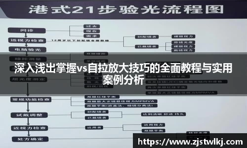 深入浅出掌握vs自拉放大技巧的全面教程与实用案例分析